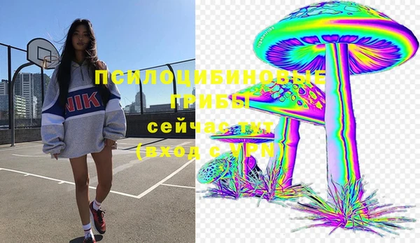 кокс Михайлов