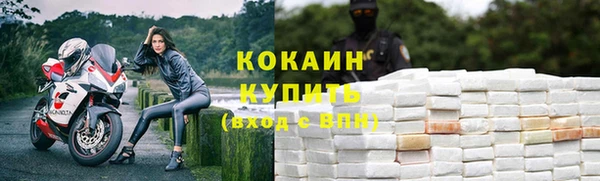 кокс Михайлов