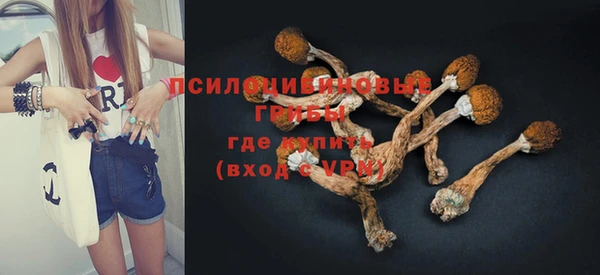 кокс Михайлов