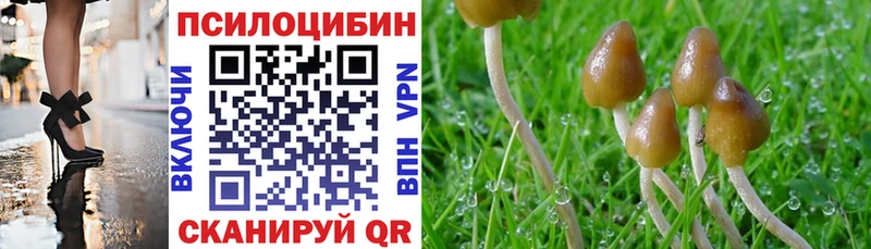 купить наркоту  hydra как войти  Псилоцибиновые грибы прущие грибы  Чаплыгин 