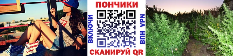 Бошки Шишки план  купить наркотики сайты  Чаплыгин 
